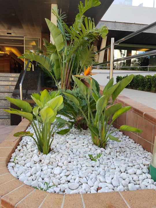 Gartenanlage Hotel Principe