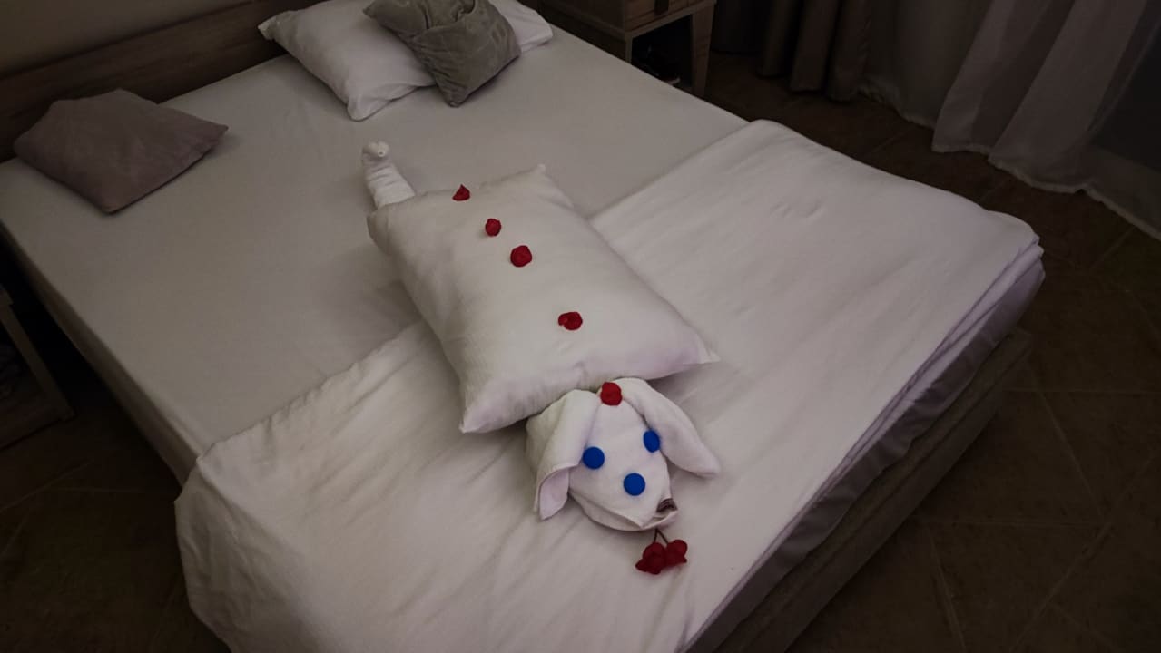 Zimmer Beach Albatros Resort