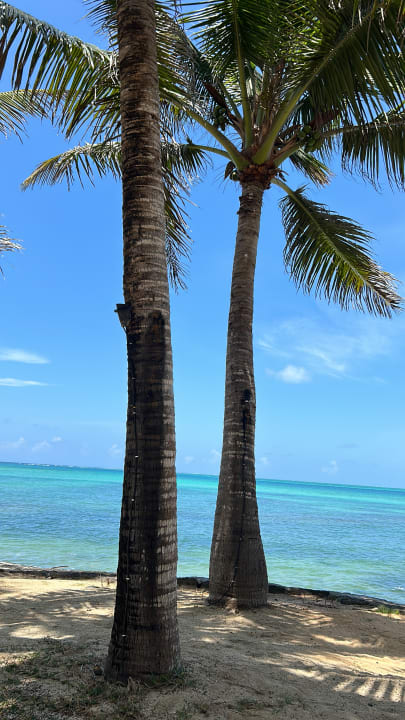 Ausblick Tropical Attitude - Adults only