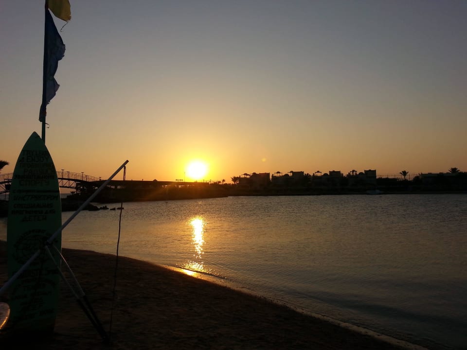 Sonnenaufgang Desert Rose