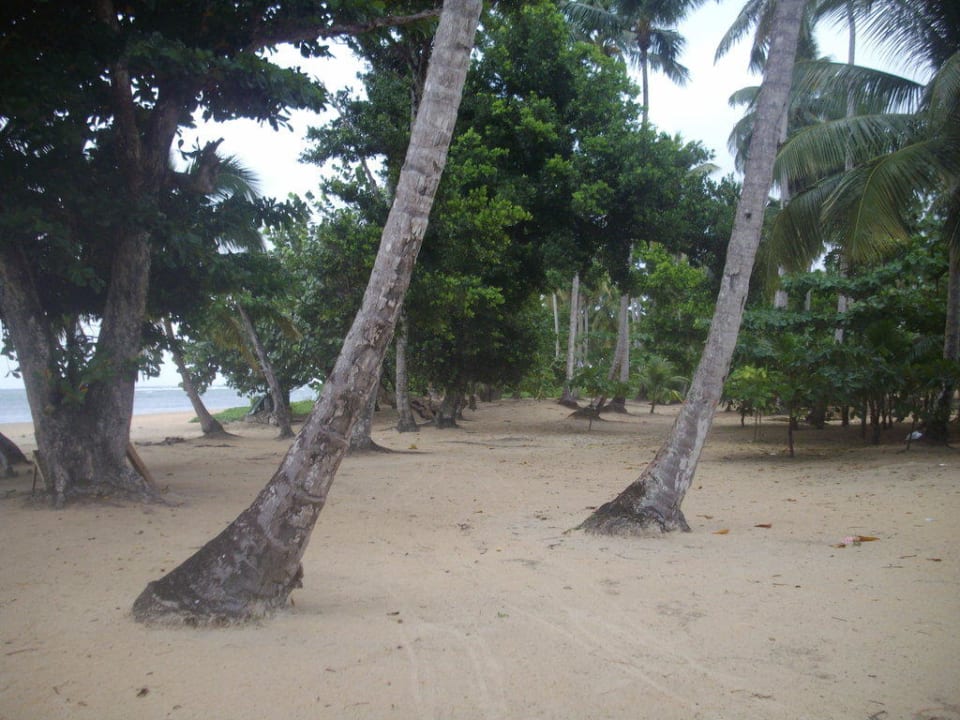 Strand Bahia Principe Grand El Portillo
