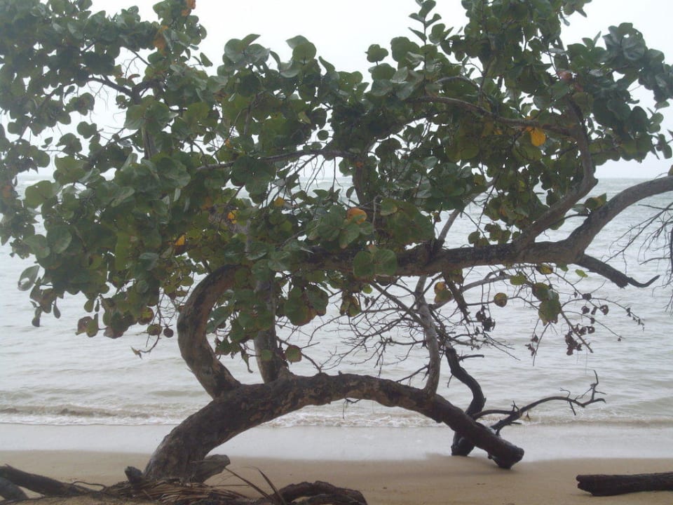 Strand und Meer Bahia Principe Grand El Portillo