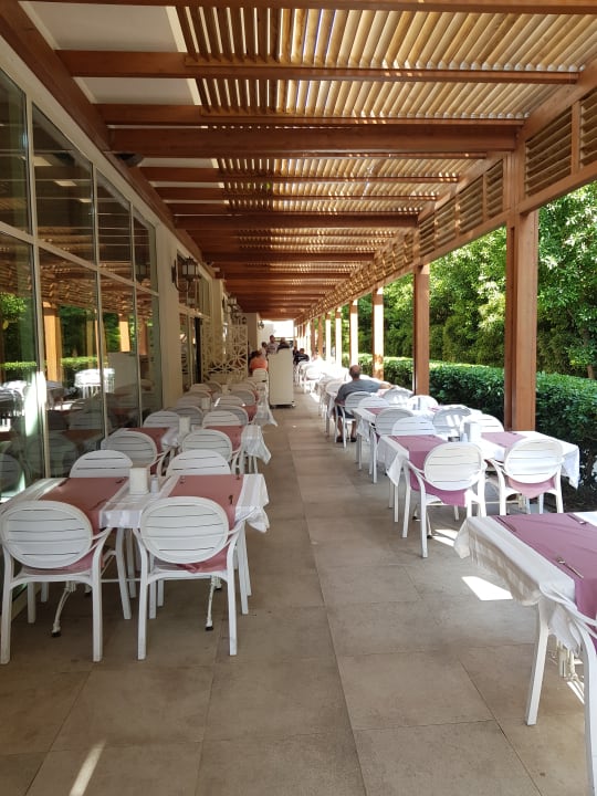 Gastro Well Palace Side