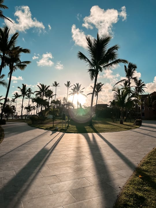 Gartenanlage Punta Cana Princess All Suites Resort & Spa