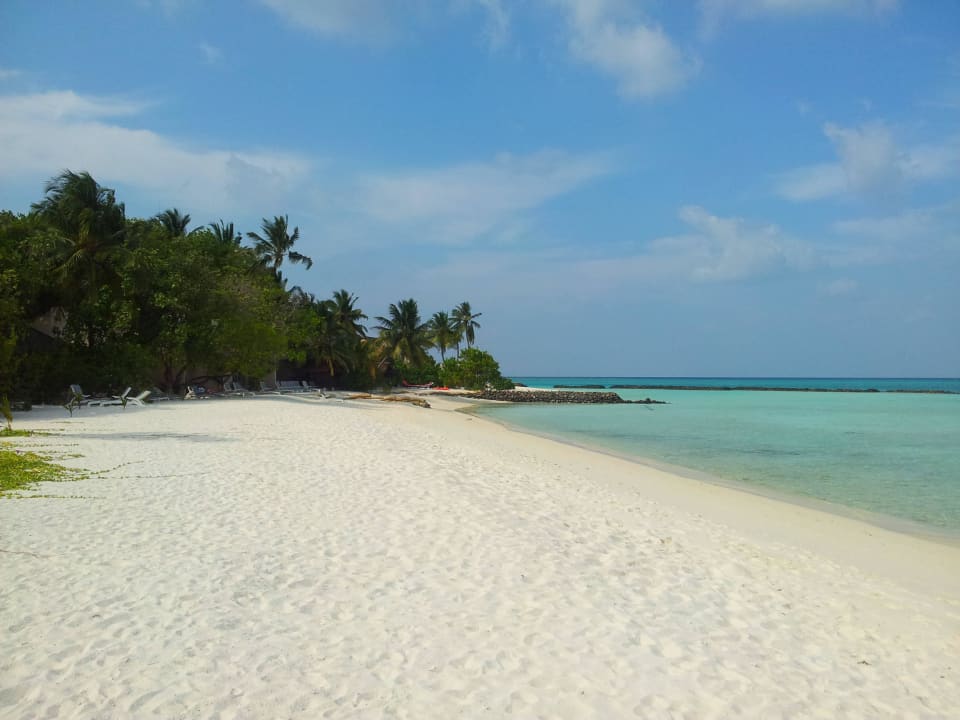 Ostseite Summer Island Maldives