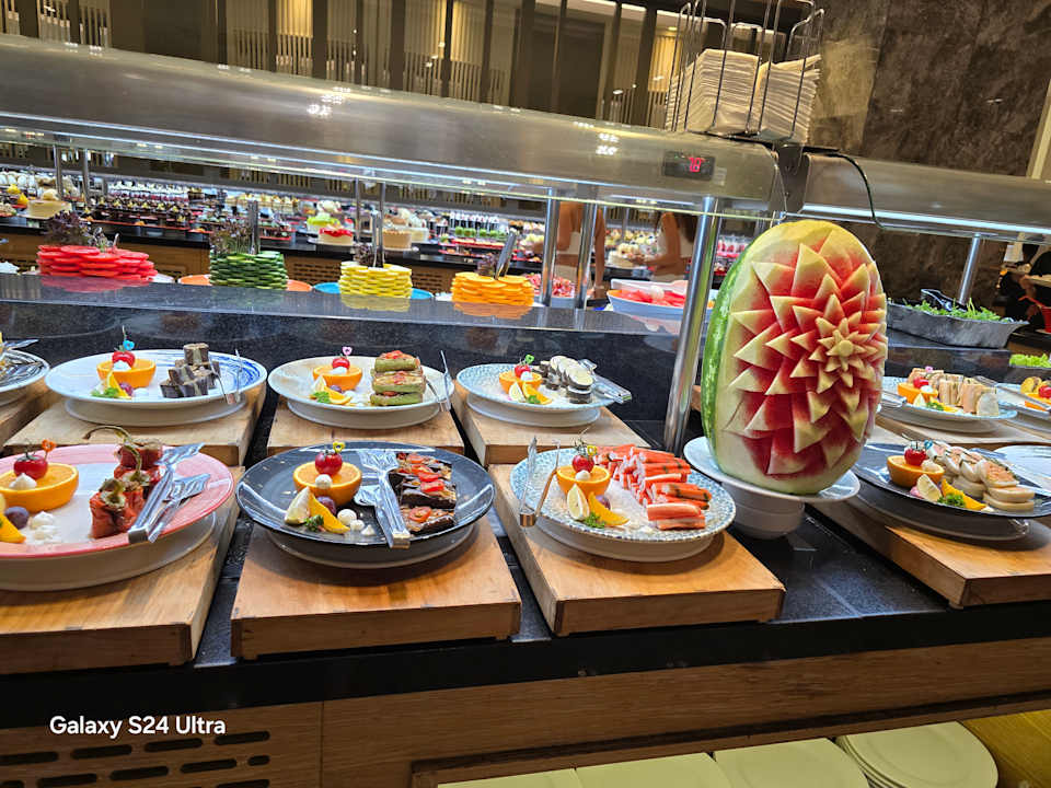 Gastro Seashell Vega