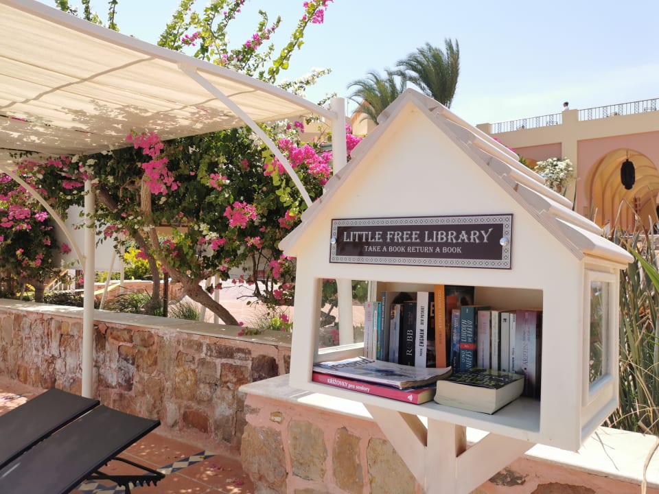 Pool Steigenberger Coraya Beach - Adults only