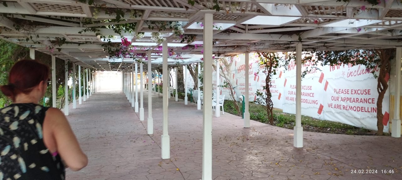 Sonstiges Desert Rose