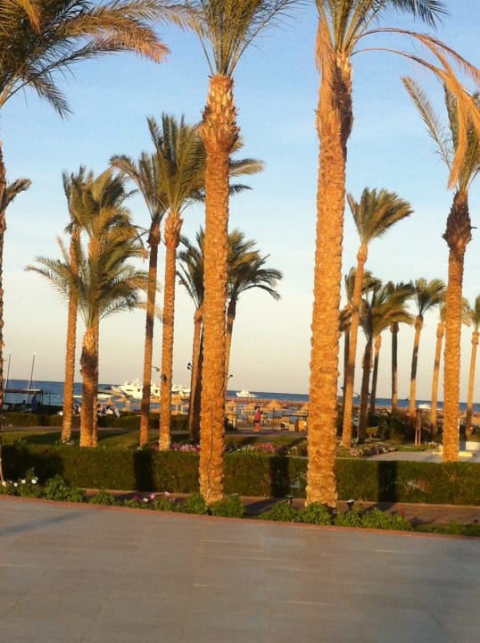 Beachbar Cleopatra Luxury Resort Makadi Bay