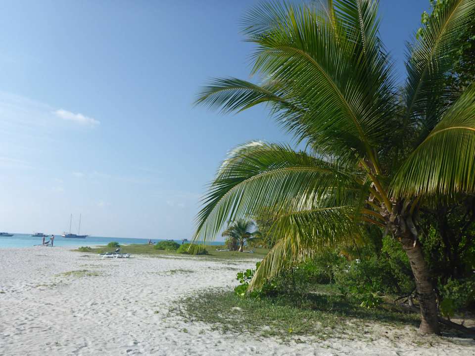 Meeru Island Resort & Spa Meeru Maldives Resort Island