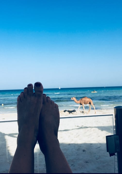 Strand ROBINSON DJERBA BAHIYA