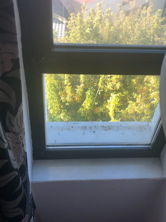 Zimmer Asteria Collection Side