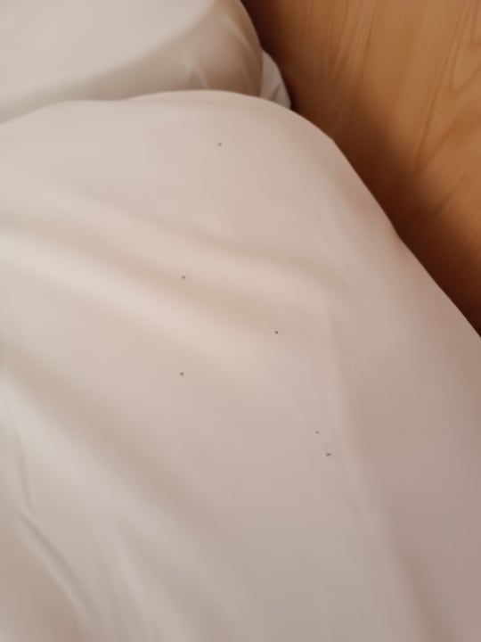 Zimmer Hotel El Mouradi Port El Kantaoui