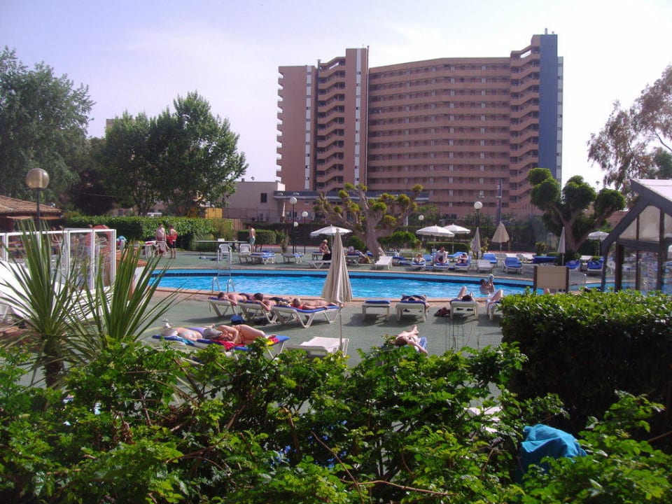 Poolanlage vom Hotel BG Hotel Caballero