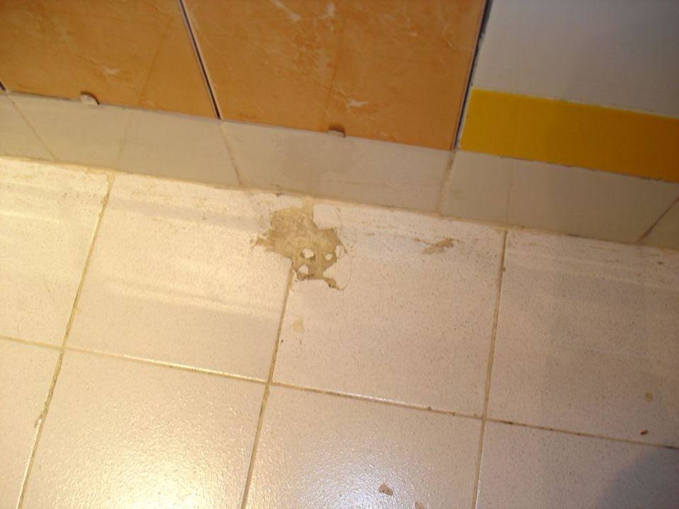 sanitaires chambres Hotel African Queen