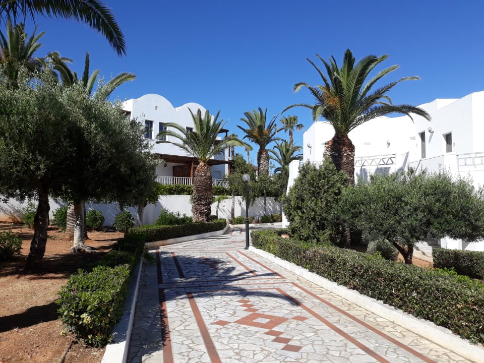 Gartenanlage Annabelle Beach Resort