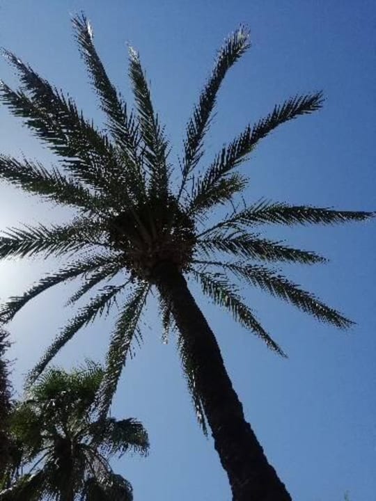 Zimmer Alcudiamar Marina Residence