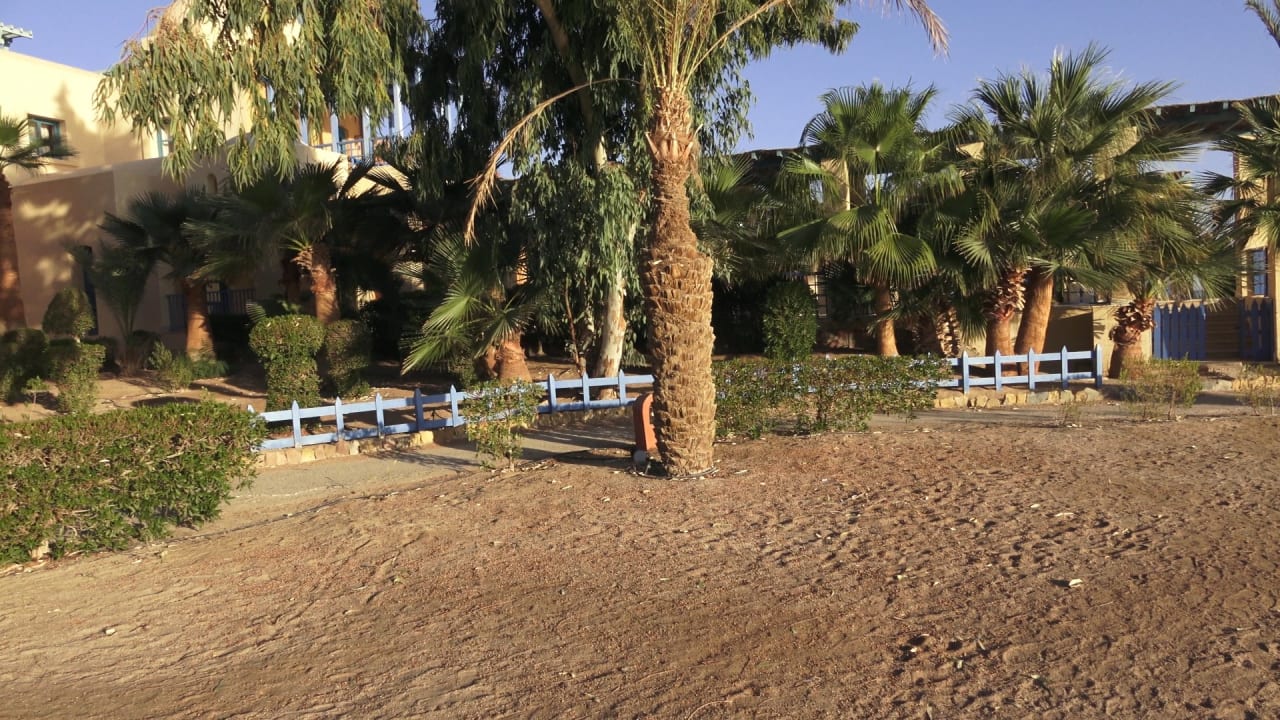 Strand Sheraton Miramar Resort El Gouna