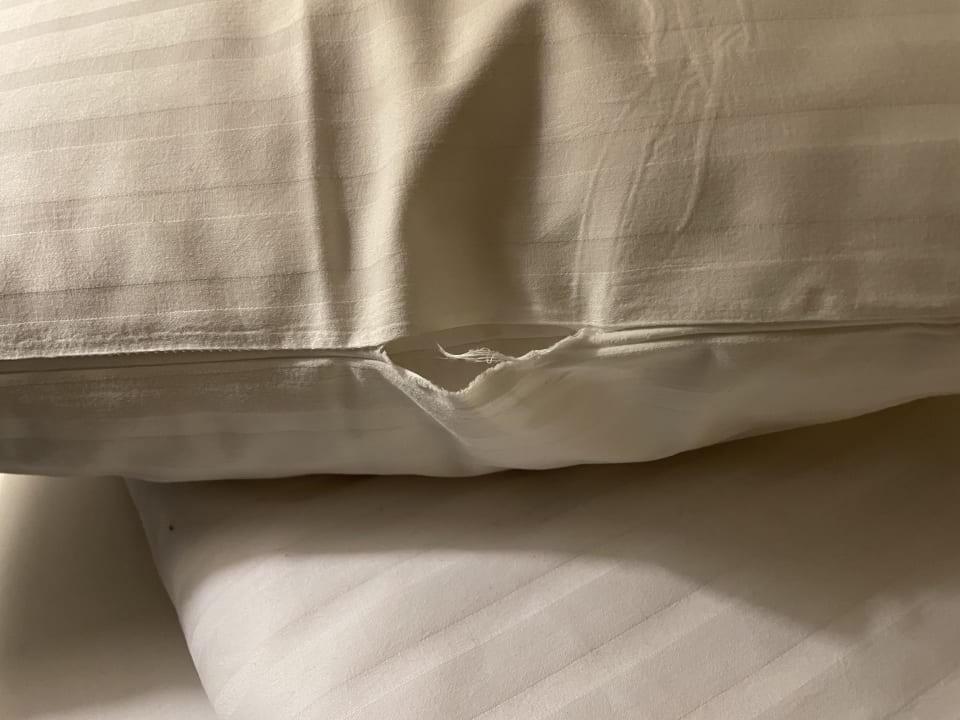 Zimmer Dorint Parkhotel Meissen