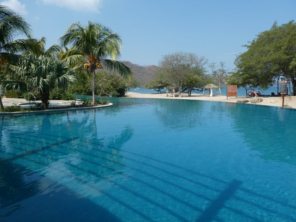 Pool Dreams Las Mareas Costa Rica