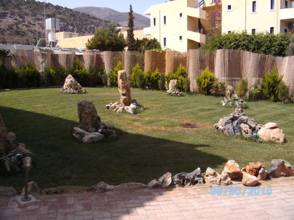 Steingarten Cactus Royal