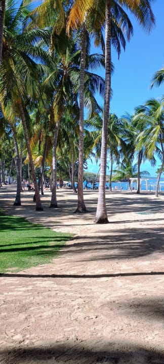 Strand Playabachata Hotel