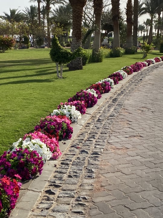 Gartenanlage Steigenberger ALDAU Beach Hotel