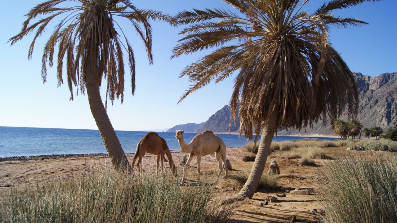 Spacerek po plaży Happy Life Village