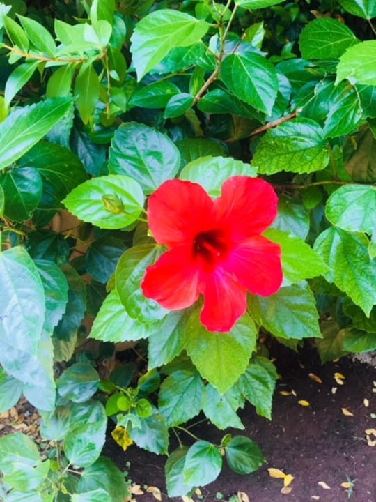 Sonstiges Ölüdeniz Turquoise Hotel