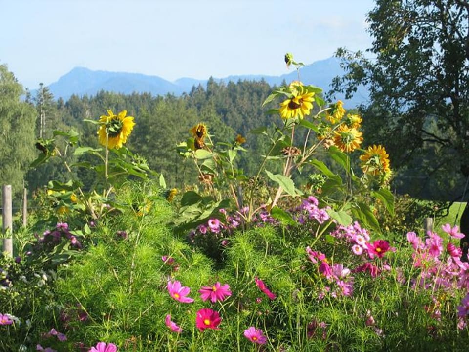 Gartenanlage Ferienwohnungen Heißbauer