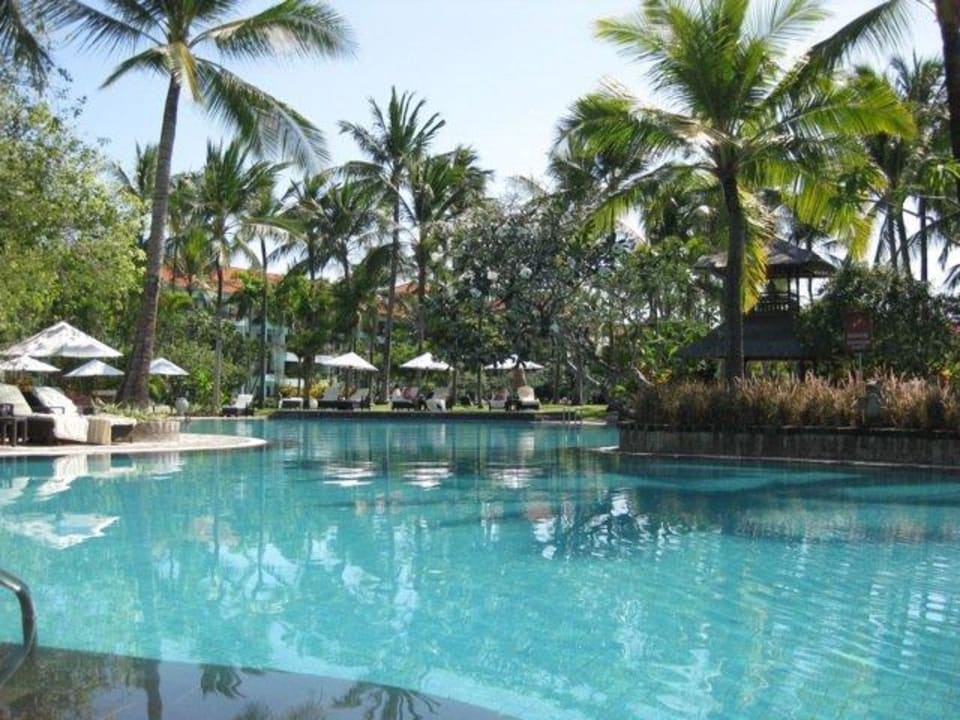 Schwimmer-Pool The Laguna A Luxury Collection Resort & Spa