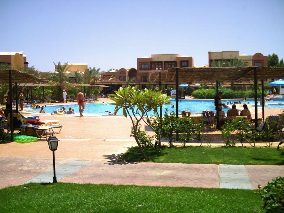 Activity Pool Jaz Makadi Saraya Resort