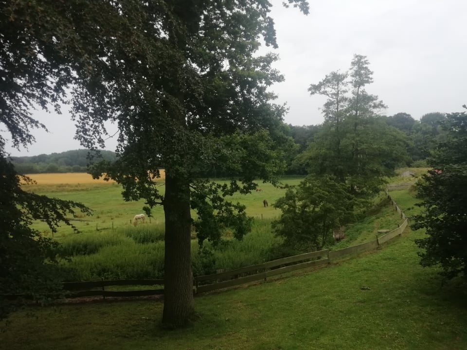 Ausblick Landhaus Ostseeblick
