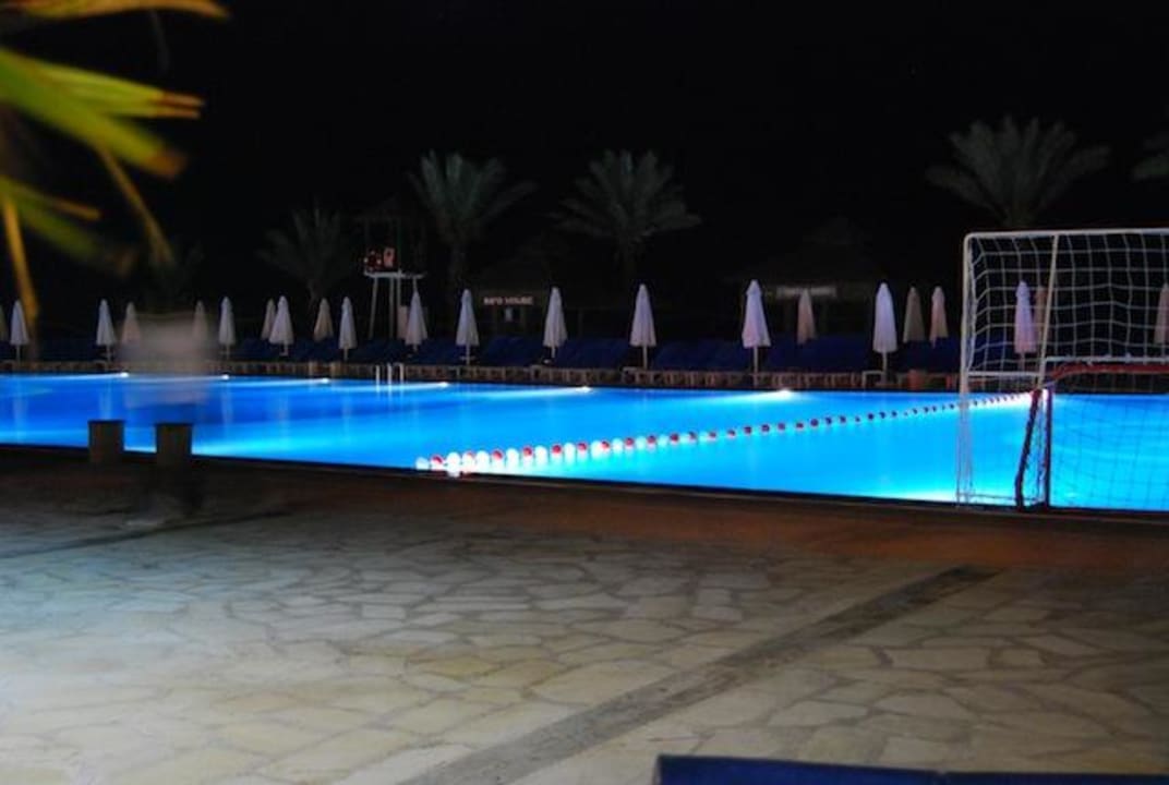 Einfach schön Papillon Belvil