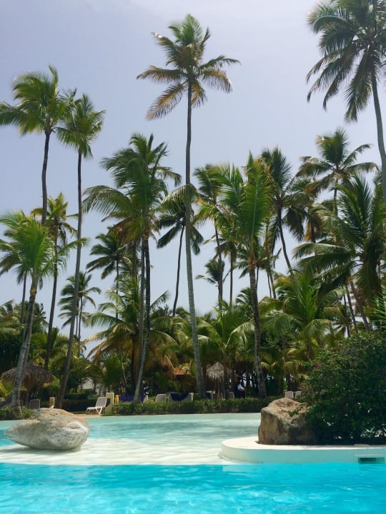 The Level Pool Meliá Caribe Beach Resort-All Inclusive