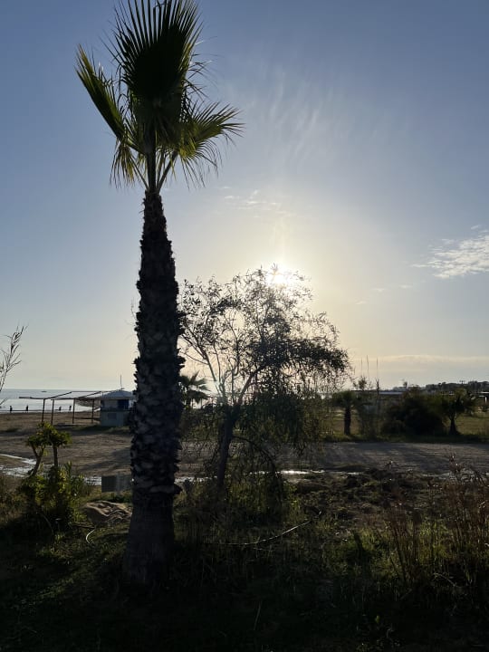 Strand Hotel Süral Resort