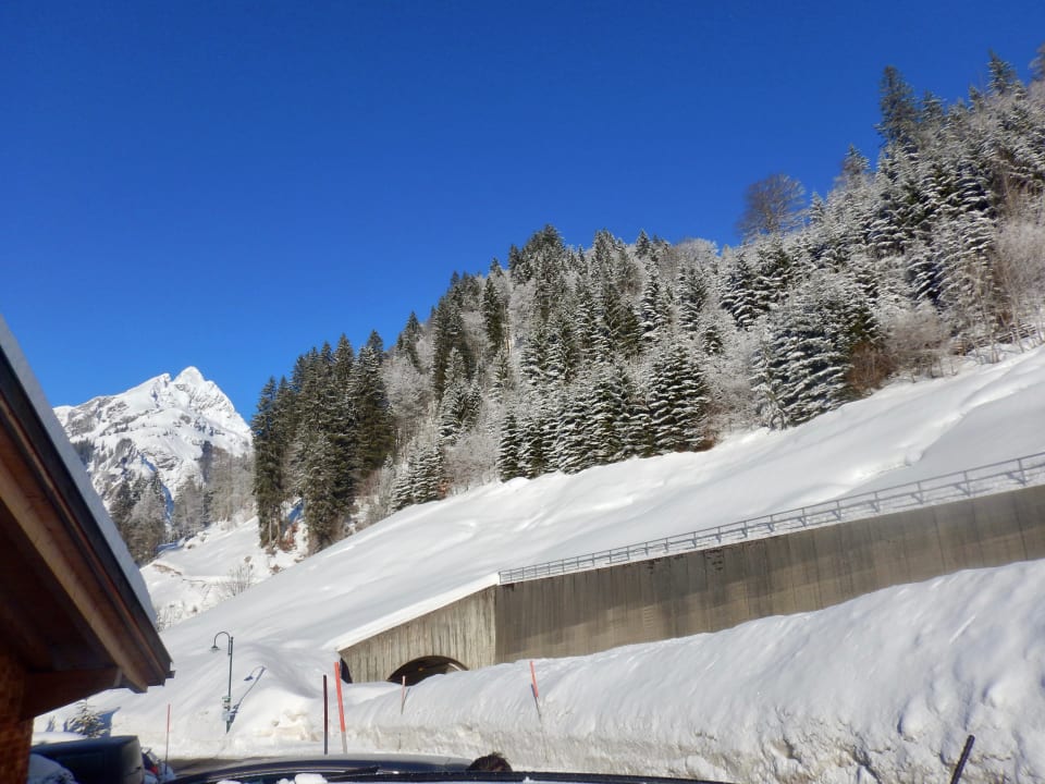 Ausblick von Eingang  Alpina Appartements