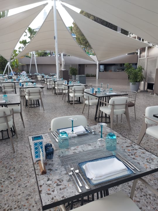 Gastro PALOMA Perissia