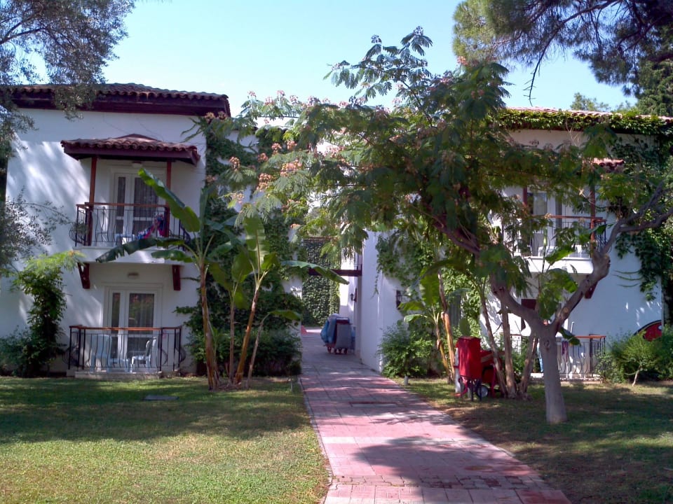 Сад в улочках между бунгало Club Marco Polo