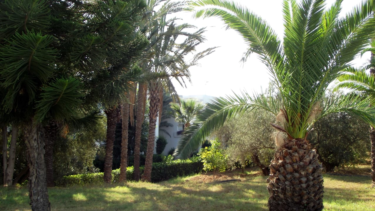 Garten vor dem Hotel El Mouradi Club Kantaoui