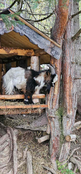 Gartenanlage Alpengasthof Enzianhof