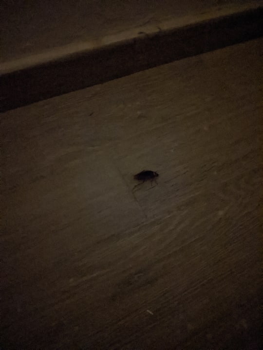 Zimmer Servatur Alameda de Jandía