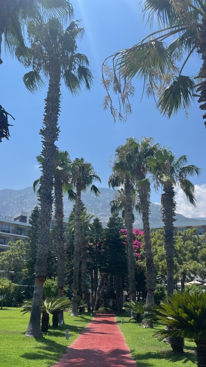 Sonstiges TUI MAGIC LIFE Beldibi +16