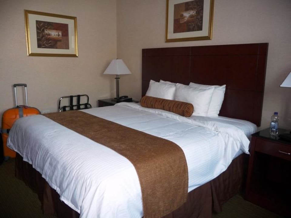 King Size Bett Zimmer Arena Hotel