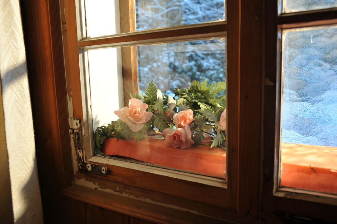 Fenster mit Blumen Hütte Waldheim