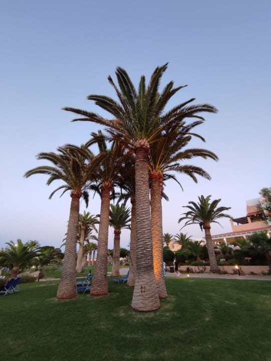Gartenanlage Anissa Beach & Village