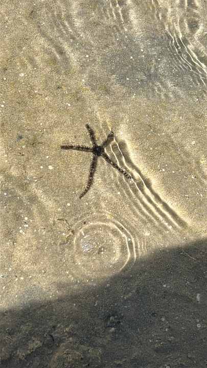 Strand Stella Beach Resort & Spa Makadi Bay