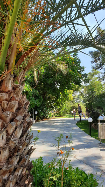 Gartenanlage Hotel Kalithea Mare Palace