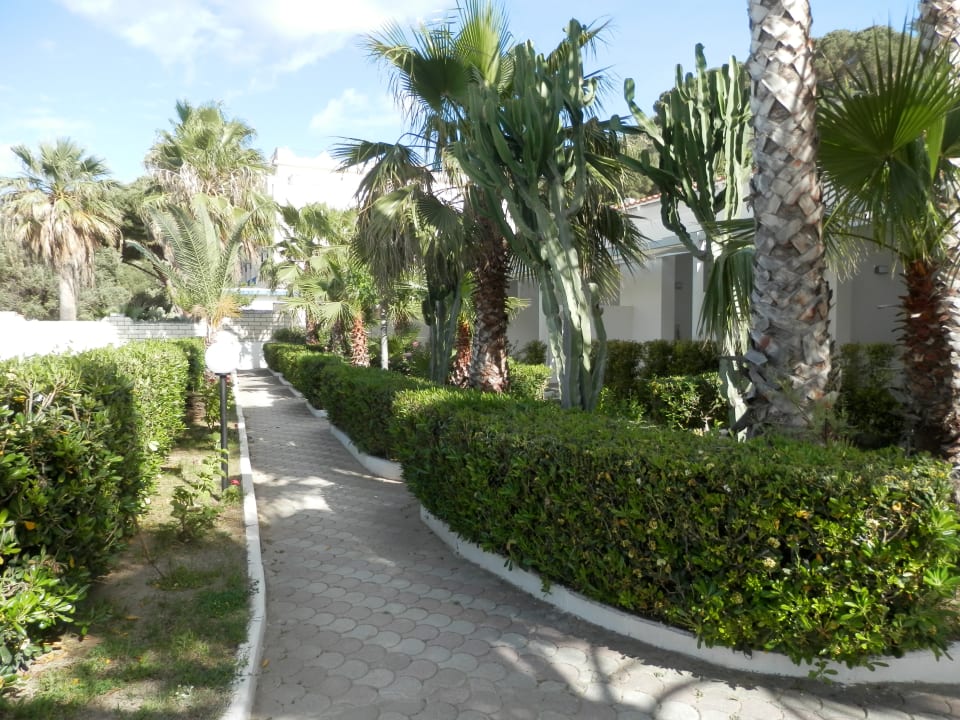 Gartenanlage Villaggio Baia d'Ercole