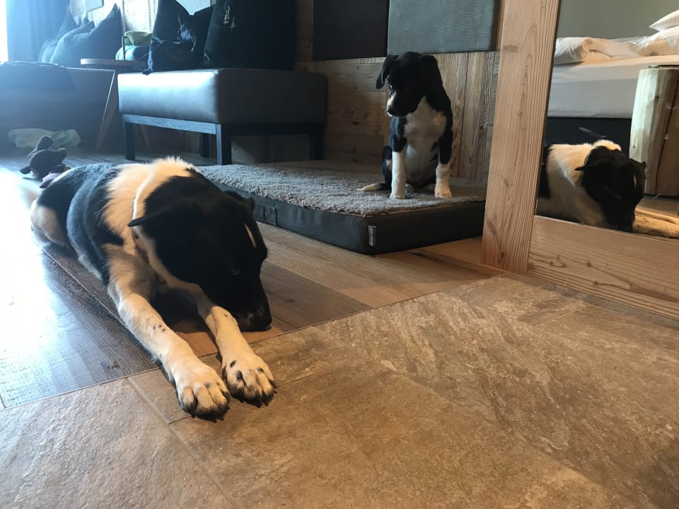 Zimmer My Arbor - Dolomites